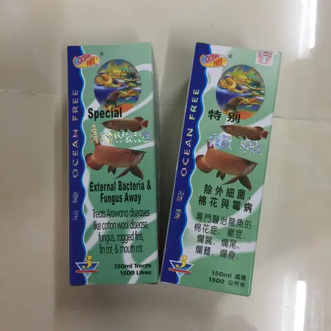 Cá Rồng Thối Vây