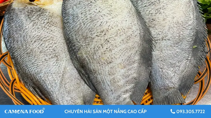 Cá Sặc Là Cá Biển Hay Cá Đồng