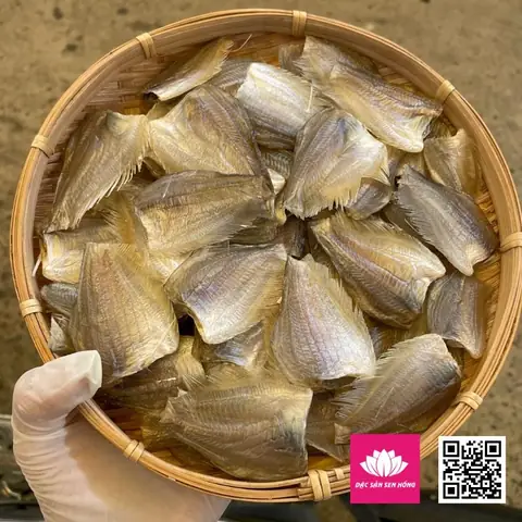 Cá Sặc Miền Tây Cá Sặc Miền Tây