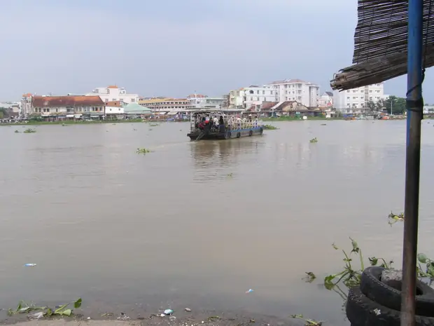 Cá Sấu Trên Sông Sài Gòn Cá Sấu Trên Sông Sài Gòn
