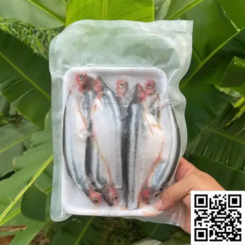 Cá Sông Miền Tây Cá Sông Miền Tây