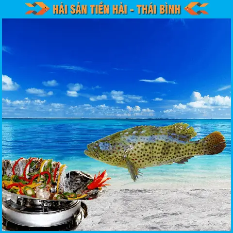 Cá Sòng Thái Bình Dương