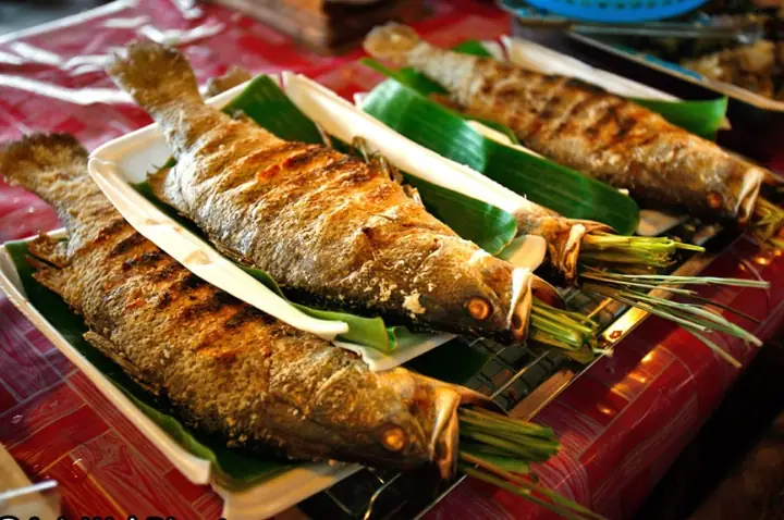 Cá Suối Mộc Châu Cá Suối Mộc Châu