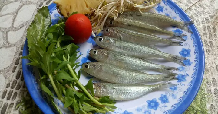 Cá Suốt Là Cá Gì