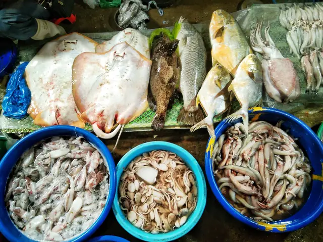 Cá Táng Thái Bình