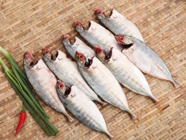 Cá Thác Lác Là Cá Biển
