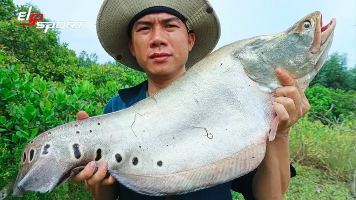 Cá Thác Lác Là Cá Nước Ngọt Hay Mặn