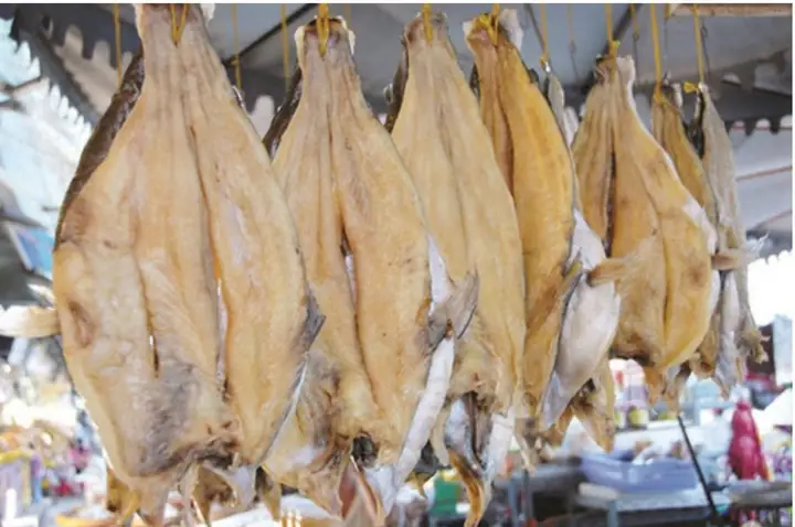 Cá Thiều Tiếng Anh Là Gì Cá Thiều Tiếng Anh Là Gì