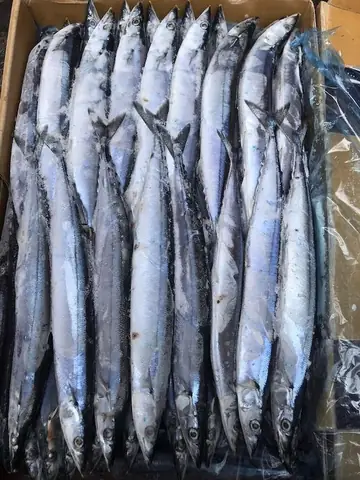 Cá Thu Đao Nhật Bản