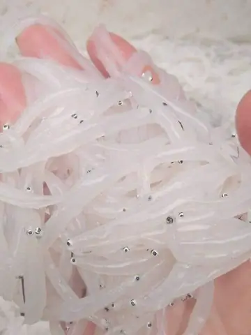 Cá Thủy Tinh Sông Đà