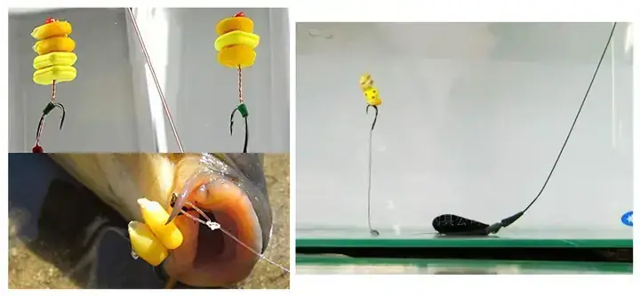 Cá Tra An Ở Tầng Nước Nào