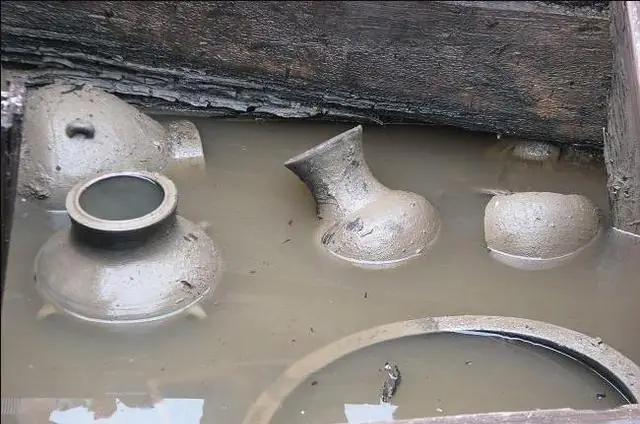 Cá Trê Đào Mộ
