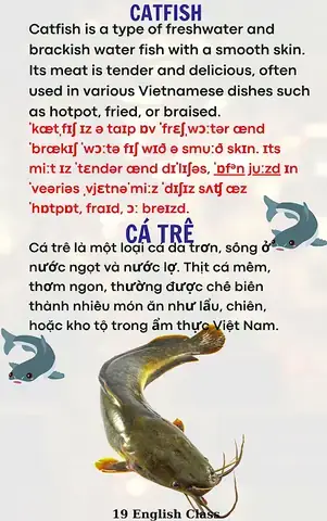 Cá Trê In English