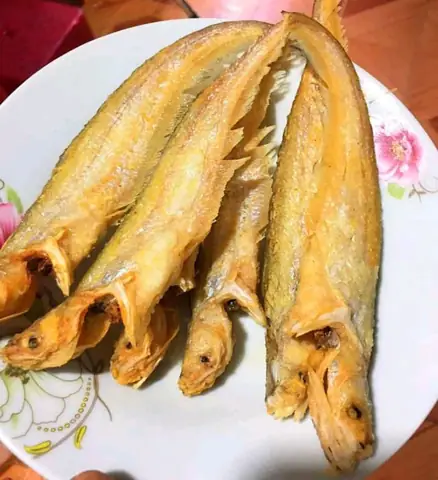 Cá Trèn Là Cá Gì