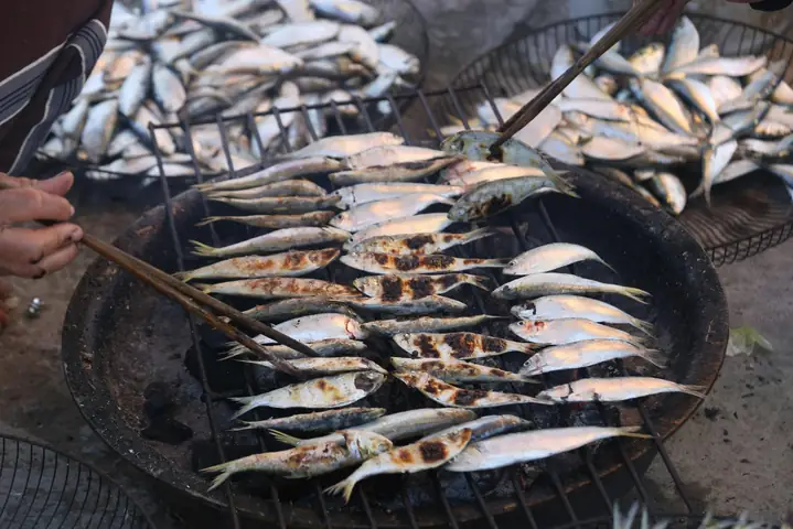 Cá Trích Hồng Hải