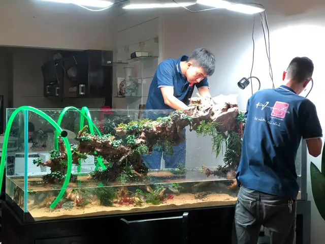 Cá Vệ Sinh Bể Thủy Sinh