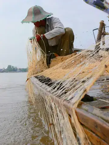 Cá Vồ Đém Ăn Mồi Gì
