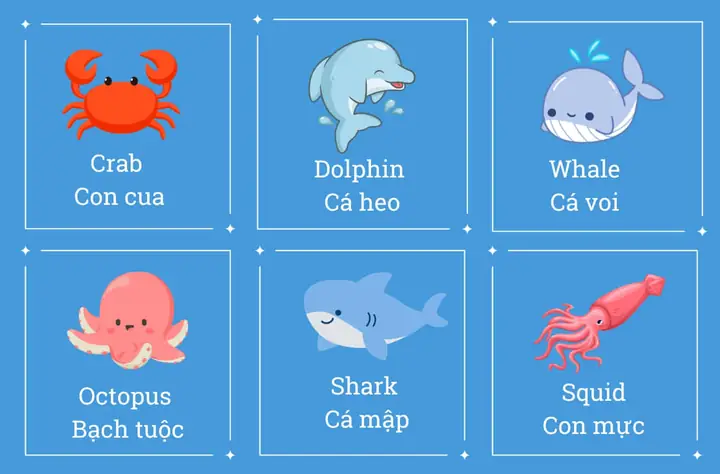 Cá Voi Tiếng Anh Dọc Là Gì