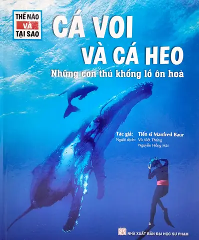 Cá Voi Và Cá Heo Khác Nhau Ở Điểm Nào