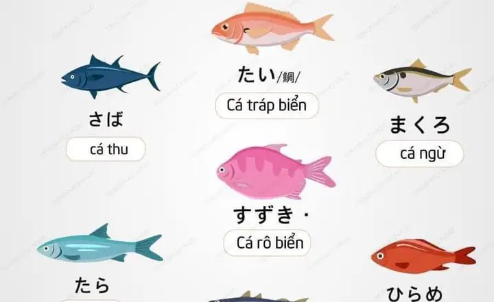 Các Loại Cá Nhật