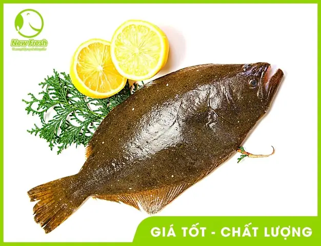 Các Loại Cá Ở Hàn Quốc