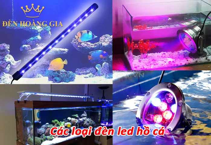 Các Loại Đèn Bể Cá