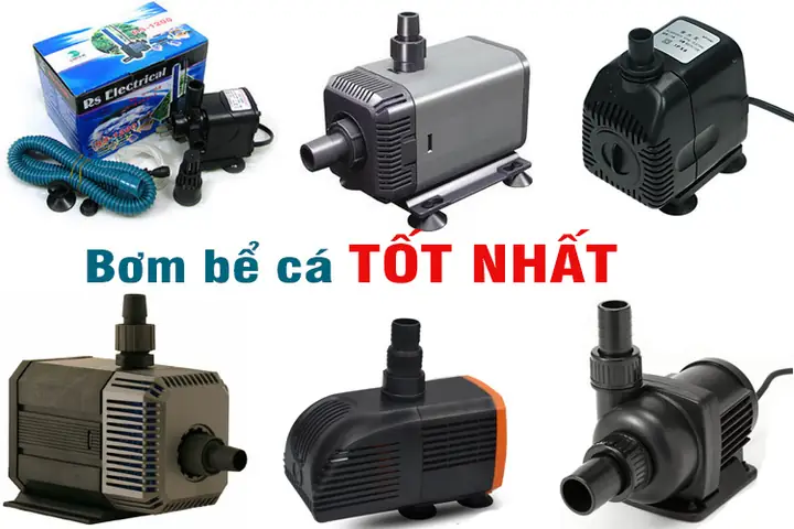 Các Loại Máy Bơm Hồ Cá Các Loại Máy Bơm Hồ Cá