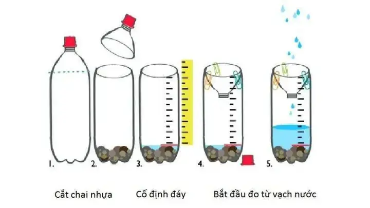 Cách Bắt Cá Bằng Chai Nhựa Cách Bắt Cá Bằng Chai Nhựa