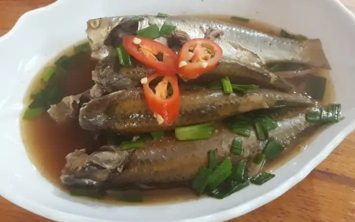 Cách Bắt Cá Đối Cách Bắt Cá Đối