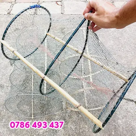 Cách Bẫy Cá Chuối Cách Bẫy Cá Chuối