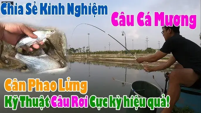 Cách Bẫy Cá Mương Cách Bẫy Cá Mương