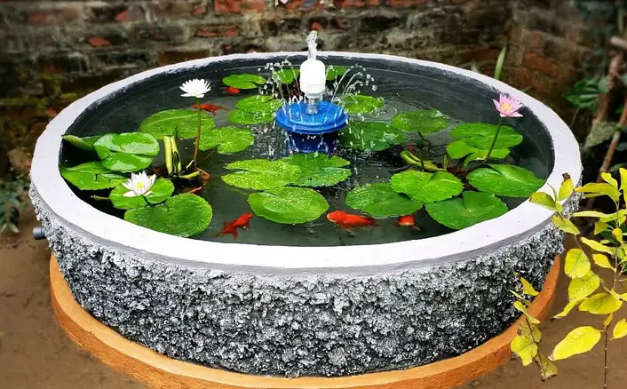Cách Bịt Lỗ Chậu Cây Để Nuôi Cá Cách Bịt Lỗ Chậu Cây Để Nuôi Cá