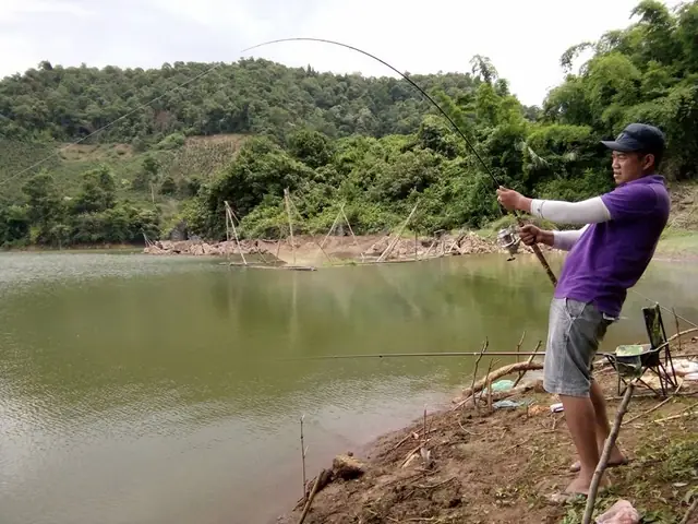 Cách Câu Cá Trôi Trắng