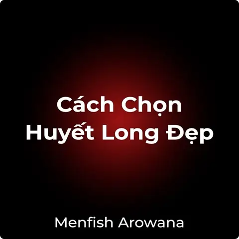 Cách Chọn Cá Rồng