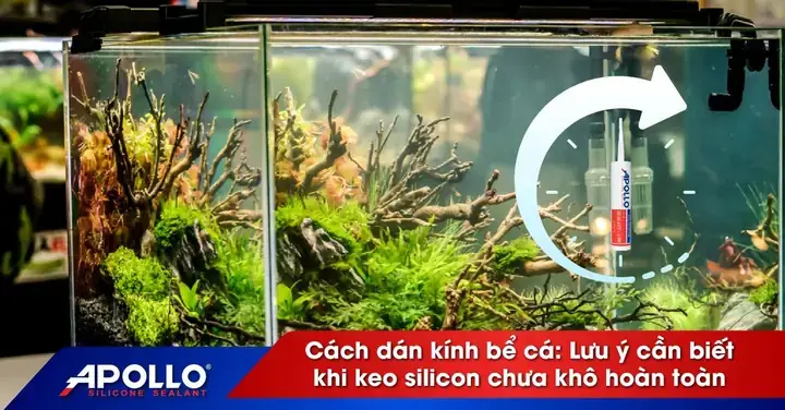 Cách Dán Hồ Cá Lớn
