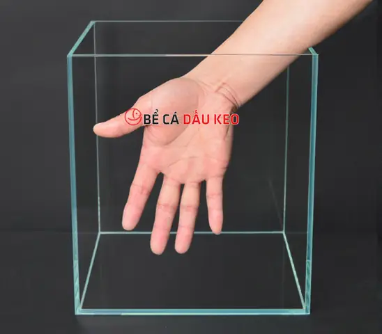 Cách Dán Kính Bể Cá