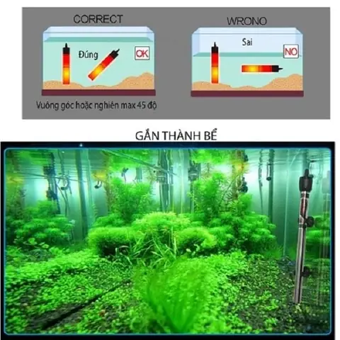 Cách Đặt Sưởi Cho Bể Cá