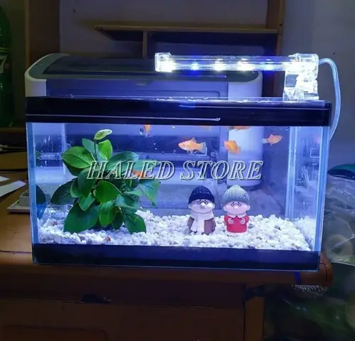 Cách Gắn Đèn Led Cho Hồ Cá Cách Gắn Đèn Led Cho Hồ Cá