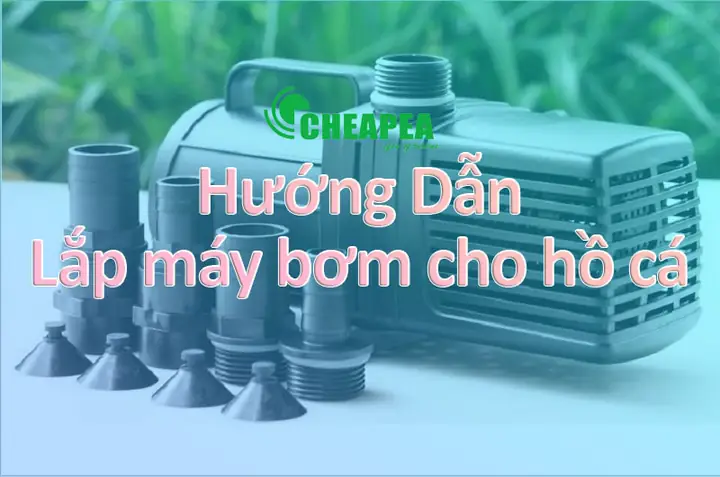 Cách Gắn Máy Bơm Hồ Cá
