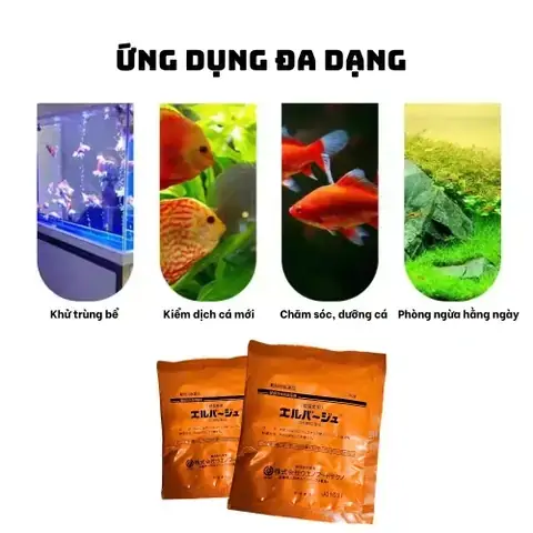 Cách Khử Trùng Bể Cá Cảnh