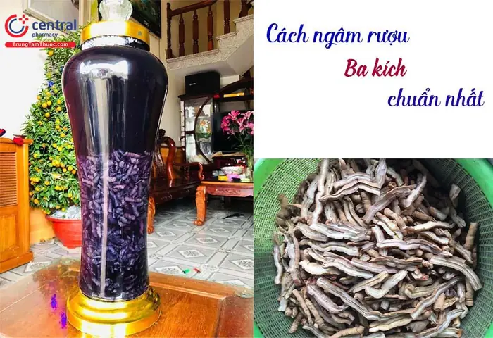Cách Kích Cá Hiệu Quả Cách Kích Cá Hiệu Quả