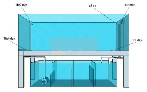 Cách Làm Bể Cá Hút Đáy Toàn Dải Cách Làm Bể Cá Hút Đáy Toàn Dải