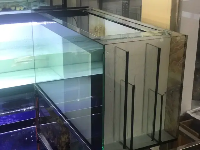 Cách Làm Bể Cá Lọc Vách