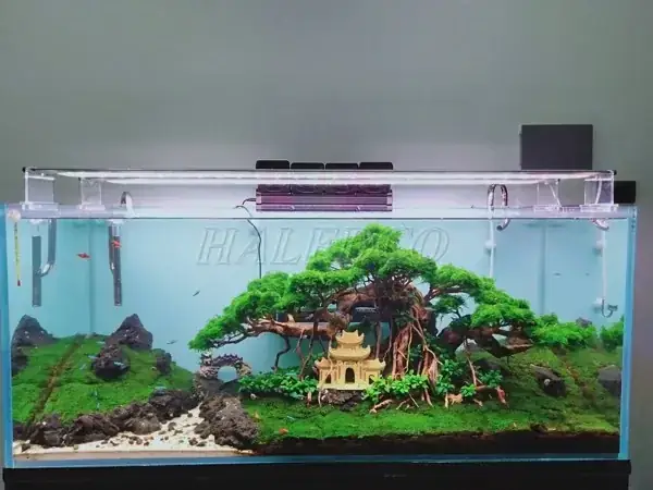 Cách Làm Đèn Led Hồ Cá