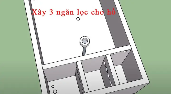 Cách Làm Hồ Cá Koi Mini Ngoài Trời Cách Làm Hồ Cá Koi Mini Ngoài Trời