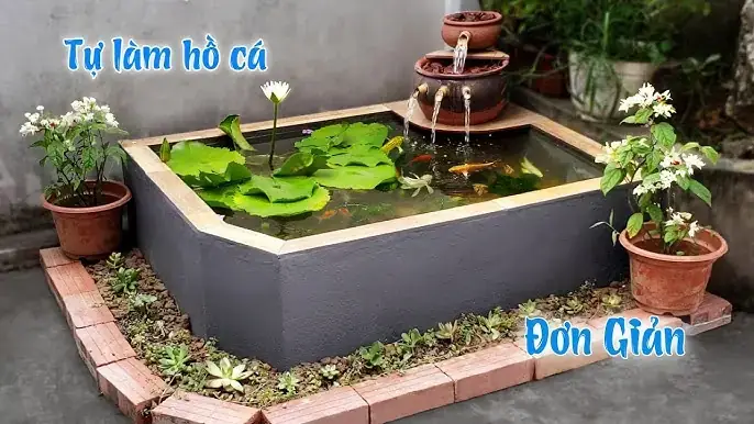 Cách Làm Hồ Cá Nổi Trên Mặt Nước