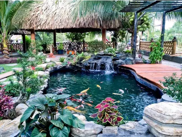 Cách Làm Hồ Cá Tiểu Cảnh