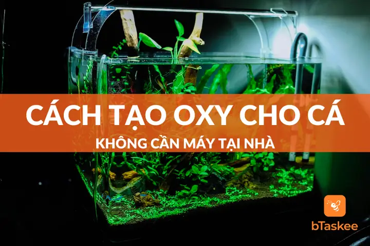 Cách Làm Máy Tạo Oxy Cho Cá Cách Làm Máy Tạo Oxy Cho Cá