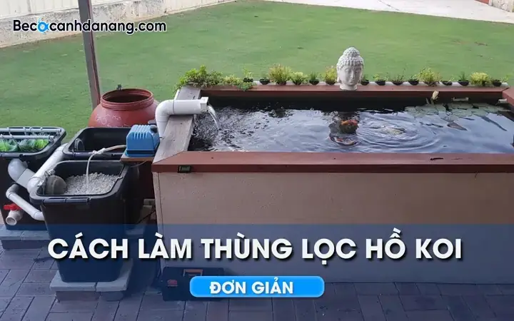 Cách Làm Ngăn Lắng Hồ Cá Cách Làm Ngăn Lắng Hồ Cá
