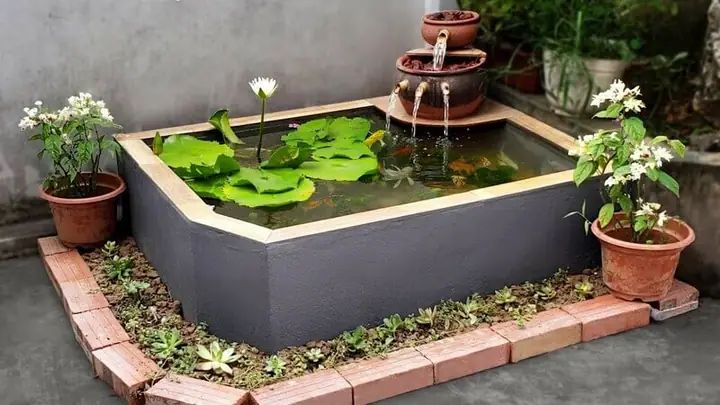 Cách Làm Sạch Hồ Cá Xi Măng
